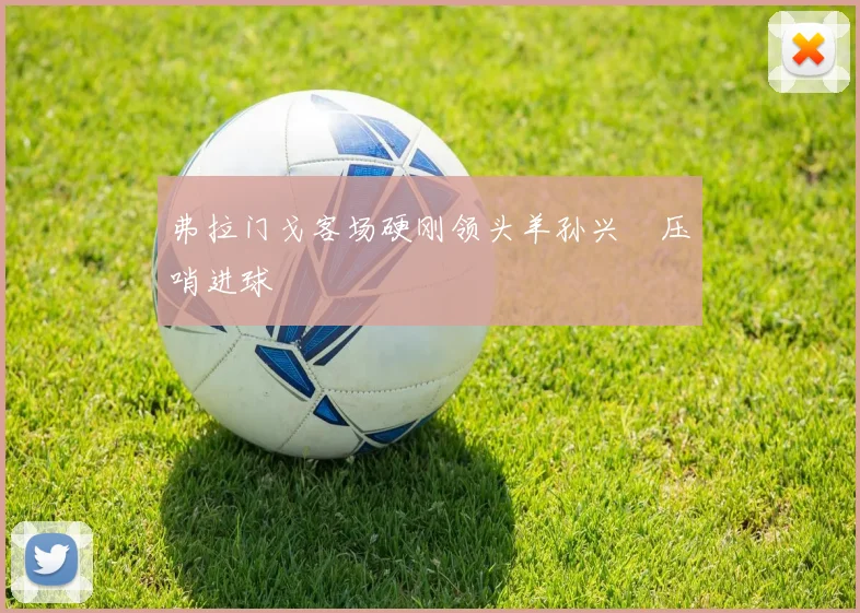 弗拉门戈客场硬刚领头羊孙兴慜压哨进球