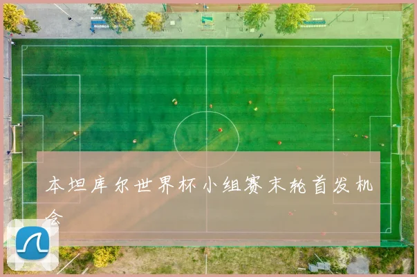 本坦库尔世界杯小组赛末轮首发机会