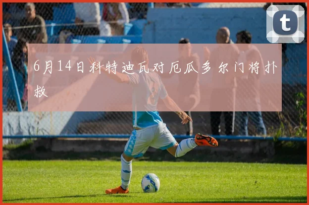6月14日科特迪瓦对厄瓜多尔门将扑救