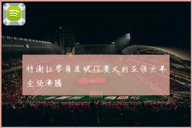 特谢拉零角度破门澳大利亚领头羊全场沸腾