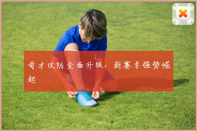奇才攻防全面升级,新赛季强势崛起