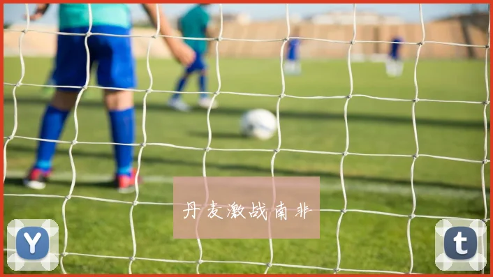 丹麦激战南非