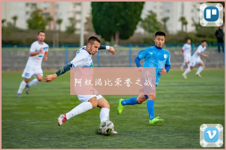 阿奴诺比荣誉之战