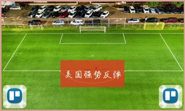 美国强势反弹