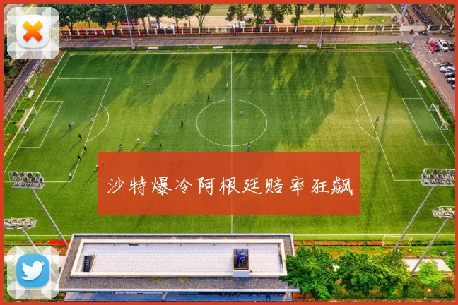 沙特爆冷阿根廷赔率狂飙