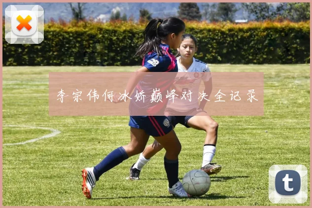 李宗伟何冰娇巅峰对决全记录