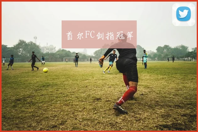 首尔FC剑指冠军