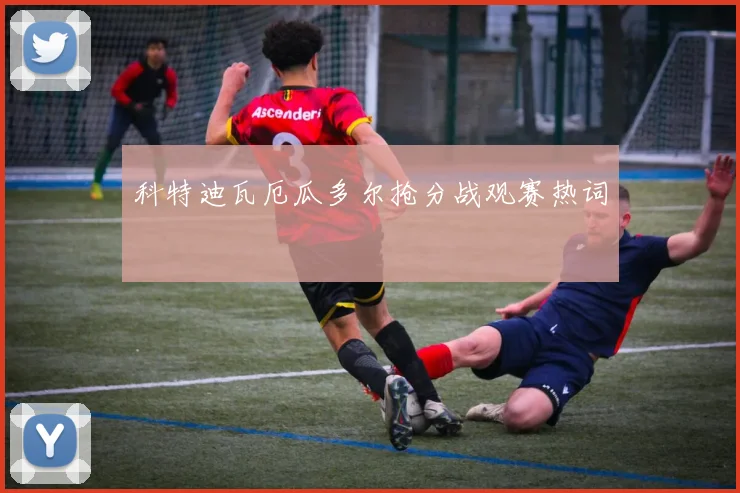 科特迪瓦厄瓜多尔抢分战观赛热词