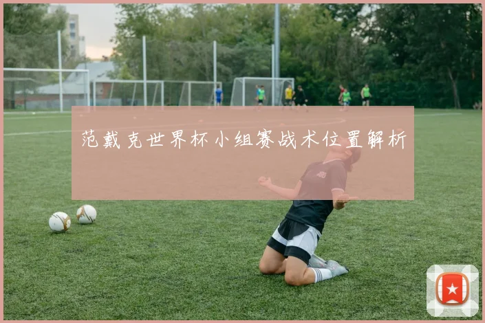 范戴克世界杯小组赛战术位置解析