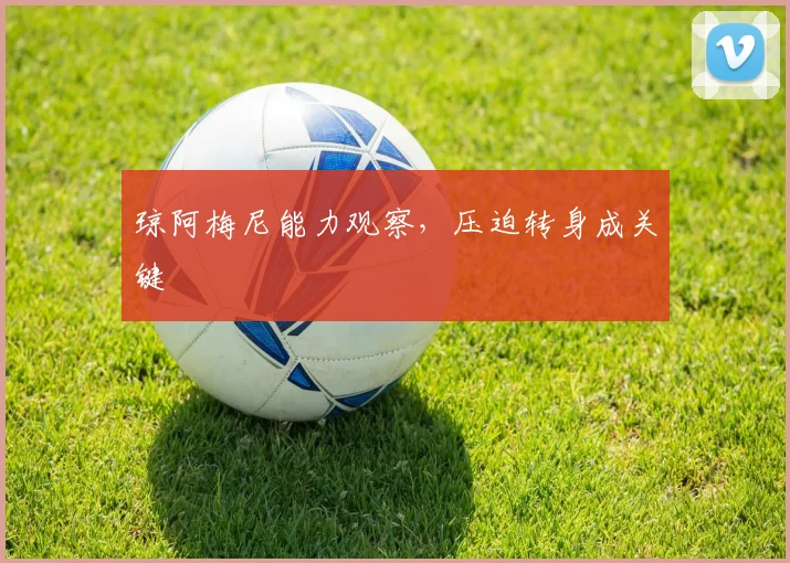 琼阿梅尼能力观察，压迫转身成关键