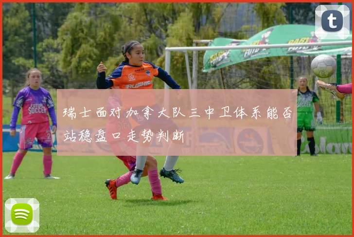 瑞士面对加拿大队三中卫体系能否站稳盘口走势判断